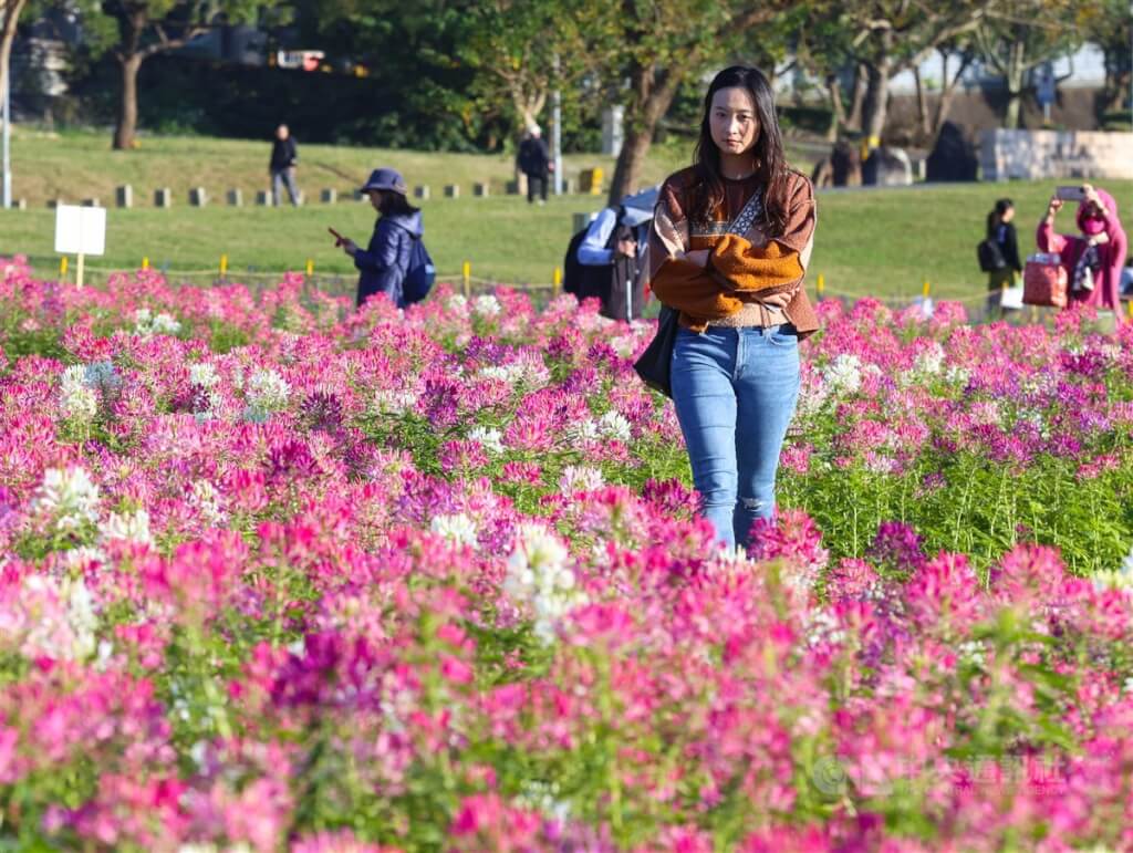 熱一天就變天!冷空氣今晚報到,全台轉濕冷至9日