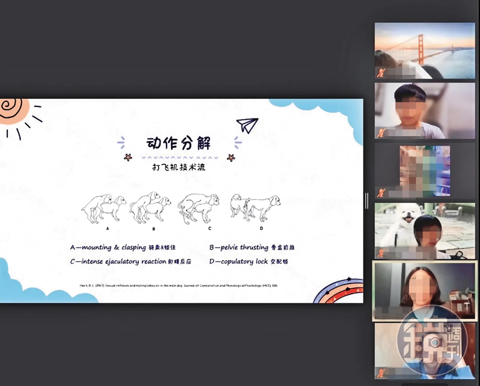 寵物名醫戴更基爆性騷擾風波!女學員控課堂被要求演示狗狗自慰
